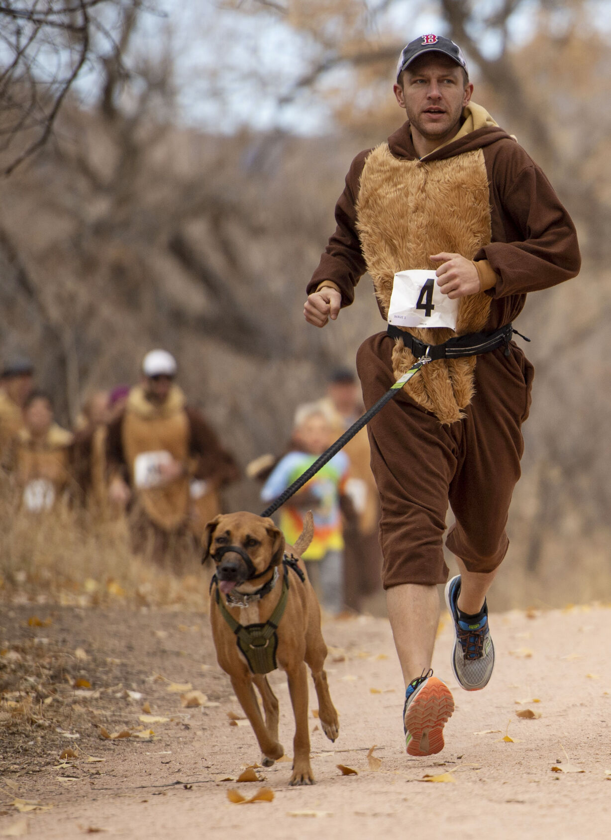 111421-news-bearrun 24.jpg